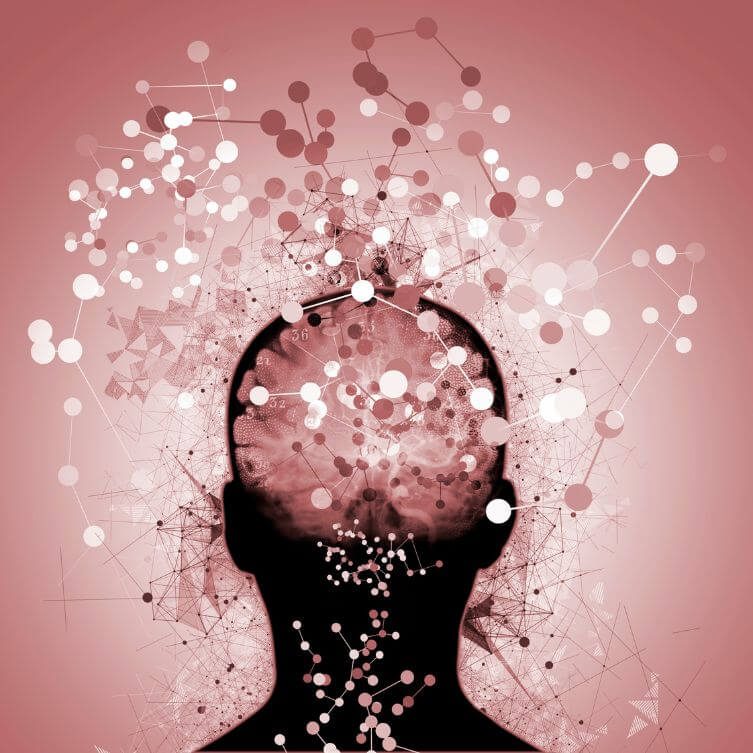 Mózg jest neuroplastycznym, dynamicznym organem